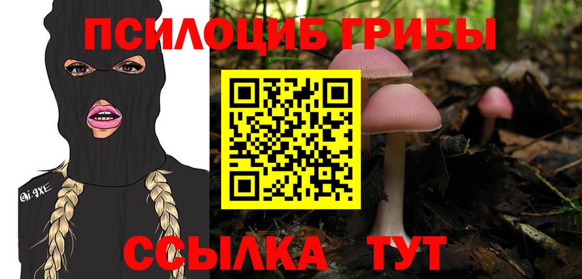 Галлюциногенные грибы GOLDEN TEACHER  Псилоцибиновые грибы прущие грибы  Вход с VPN  Стрежевой 